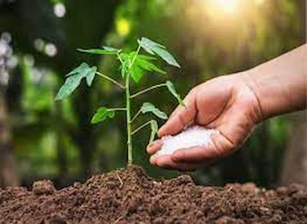 تصویر 1 از قیمت خرید کود آلی نانو نوآوران باغی + فروش ویژه